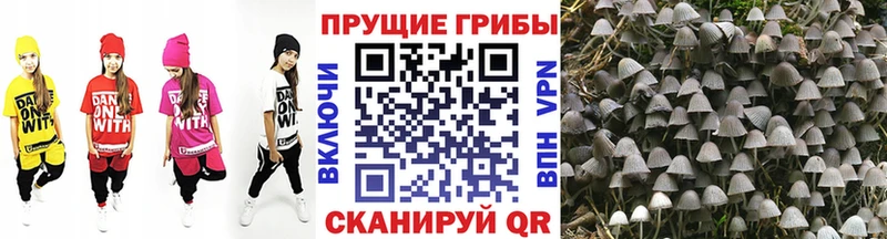 Псилоцибиновые грибы ЛСД  Купить где  Железногорск 